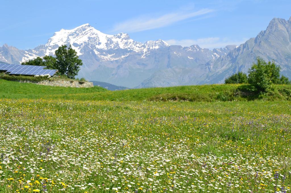 Lo Coppa Fen Daire Aosta Dış mekan fotoğraf